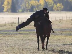 Cowboy dismounting from his horse Stock Footage