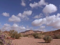 couds over desert views, plants and flowers in ramon crater Stock Footage