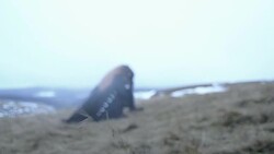 Crow soul Stock Footage