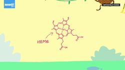 Your Meatless Protein Options Now Include Impossible Pork News Clip