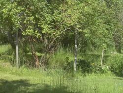 The Lawn Mower Man Stock Footage