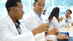 Diverse male scientists analyze liquid in test tubes Stock Footage