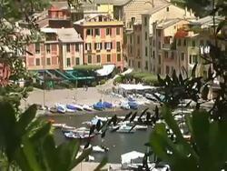 Italy: Portofino Through Trees Stock Footage