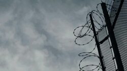 Barbed Wire Stock Footage