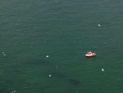 BEMPTON CLIFFS Stock Footage