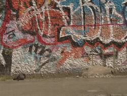 MS Shot of bird near painted wall with people walking on footpath / Dublin, Ireland Stock Footage