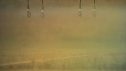 Sprinklers in the field with rainbow color light Stock Footage