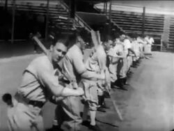 B/W 1938 tracking shot past line of professional baseball players swinging bats / Pittsburgh Pirates Stock Footage