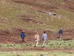 WS Sex herb collectors at Himalayan mountains / Durma, Banke District, Nepal Stock Footage