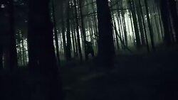 MONTAGE Horror deep in the woods Stock Footage