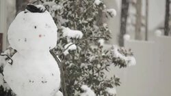 Winter Snow Storm and Snowman Stock Footage