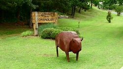 Chandler Oklahoma old historical Route 66 sign for city and cow statue get your kicks on Route 66 Stock Footage