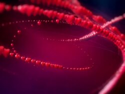 Valentine's hearts Stock Footage