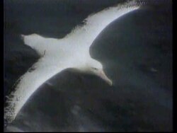 World's first DNA bank opened in London News Clip