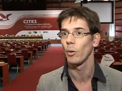 CLEAN: Strong lobbying behind Japan's success at CITES, say MEPs News Clip