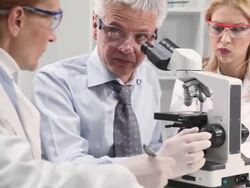 Group of scientist in a laboratory with Microscope Stock Footage