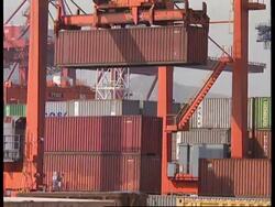 HONG KONG: SOFTWARE PIRATES News Clip