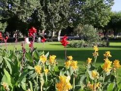 Vagharshapat, Echmiadzin cathedral, view of the gardens Stock Footage