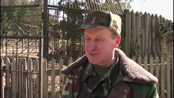 Bears found at Yanukovych's residence are well but still in cages News Clip