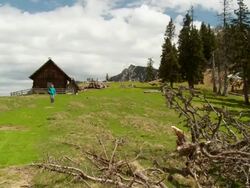 Enjoying Alpine Life Stock Footage