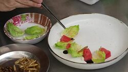 VOICED : Gourmet grub: Thai fine diners explore insect cuisine News Clip