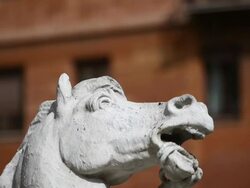 Neptune Statue Masterpiece in Rome Stock Footage