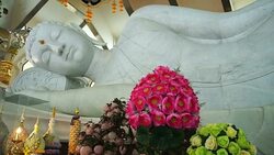 Lying Buddha Stock Footage