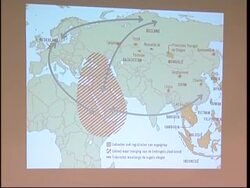 WRAP EU experts plan European task force on avian flu News Clip