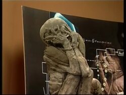 A new exhibit of Peruvian mummies to open at national museum Instructional Video