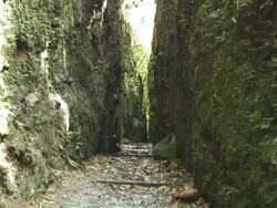MS, ZO, Nicaragua, Volcan Mombacho Natural Park, Narrow path between two foliage covered cliffs Stock Footage