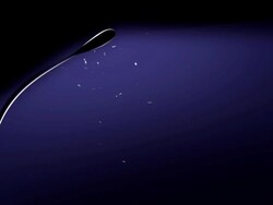 Flyes flying around a streetlight - HD, loopable Stock Footage