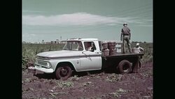 WS PAN Farmers harvesting potato / United States News Clip