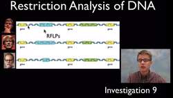 AP Biology Labs - part 2 Instructional Video