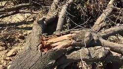 California Drought Stock Footage