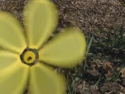 pinwheel flower blowing in the wind Stock Footage