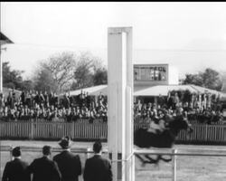 VARIETY ON THE COURSE News Clip