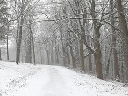 Winter Road Stock Footage