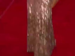 Superheroes: Fashion and Fantasy Costume Institute Gala at The Metropolitan Museum of Art Stock Footage