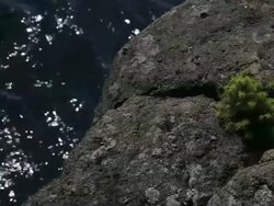 Nahuel Huapi Lake Stock Footage