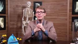 The Nervous System, Part 1: Crash Course A&P Instructional Video