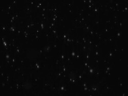 Realistic snow element loop Stock Footage