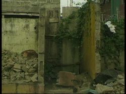 RR0104/B  Brazil: Deforestation News Clip