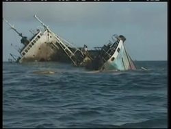 GALAPAGOS ISLANDS: OIL SPILL CLEAN UP News Clip