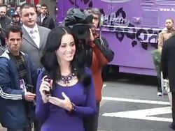 WireImage Daily: 11/17/2010 - Spanish Version Stock Footage