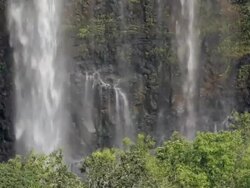 MS Detail of Opakaa Falls and trees / Wailua, Kauai, Hawaii, United States Stock Footage