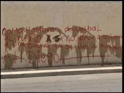 Mexico - Police say arrested a leading member of the "La Linea" drug gang - Luis Carlos Vazquez Barragan, known as "El Veinte" / Marines capture 30 suspected members of the Gulf drug cartel / More than 25 killed in one day in violence-hit border town News Clip