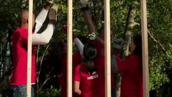 Volunteers group high five after raising frame Stock Footage