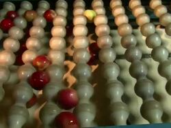Medium Close Up static - Apples drop through a sizing device onto a conveyor /  Missouri, United States Stock Footage