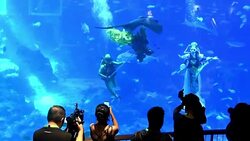 CLEAN : Underwater Lunar New Year celebration in Singapore News Clip