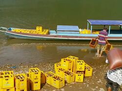MS SLO MO Shot of man taking them to small boat and plastic crates with bottles on river bank / Mountain village near Muang Ngoi, Luang Prabang, Laos Stock Footage